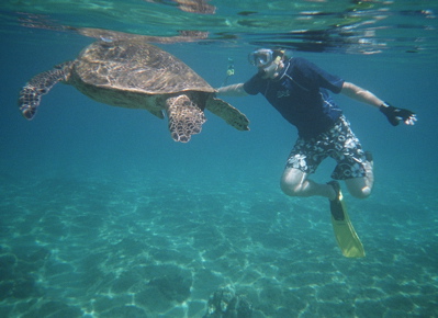 Ryan
and a Sea Turtle in Maui.
